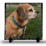 Photo Slate 8X8